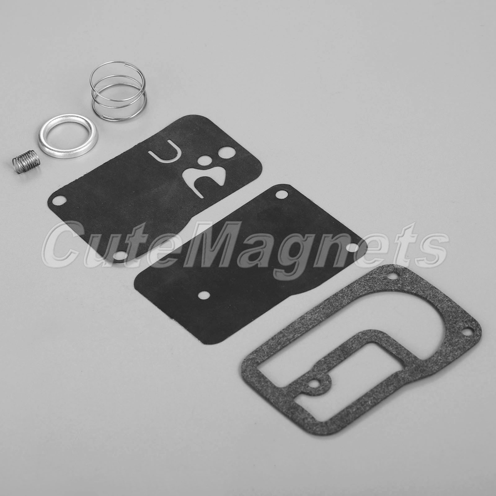 Carb Carburetor Fuel Pump Rebuild Repair Kit For Briggs Stratton 393397